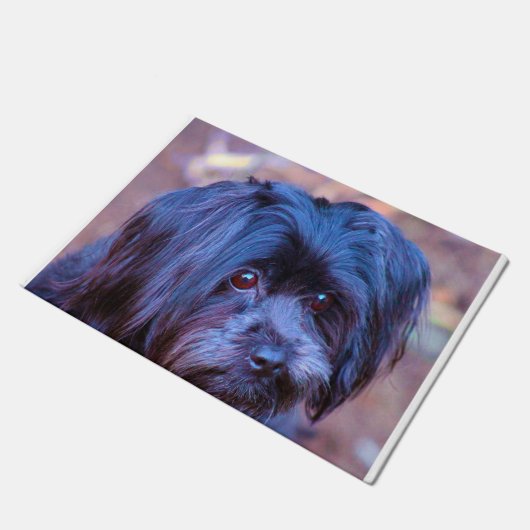 Shih Tzu Dog. Deurmat (Schuin)