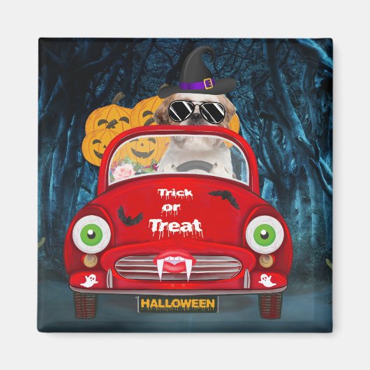 Shih Tzu Dog Driving Car Scary Halloween Magneet (Voorkant)