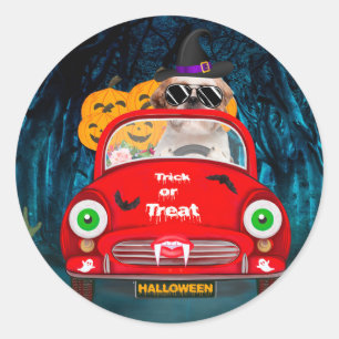 Shih Tzu Dog Driving Car Scary Halloween Ronde Sticker