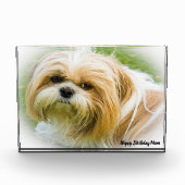 Shih Tzu Dog Fotoblokken (Voorkant)