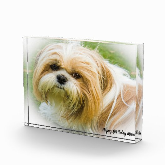 Shih Tzu Dog Fotoblokken (Rechts)