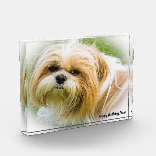 Shih Tzu Dog Fotoblokken (Links)