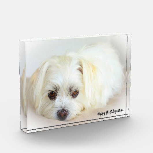 Shih Tzu Dog Fotoblokken (Links)