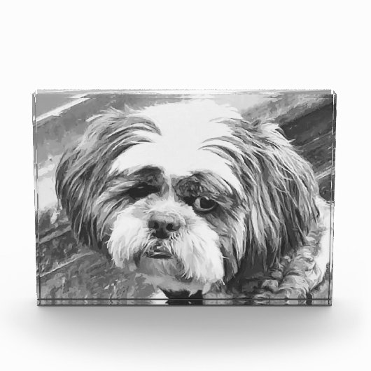 SHIH TZU DOG FOTOBLOKKEN (Voorkant)
