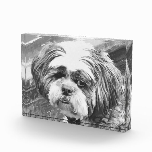 SHIH TZU DOG FOTOBLOKKEN (Rechts)