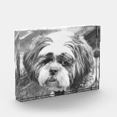 SHIH TZU DOG FOTOBLOKKEN (Links)