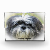 Shih Tzu Dog. Fotoblokken (Voorkant)