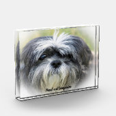Shih Tzu Dog. Fotoblokken (Links)