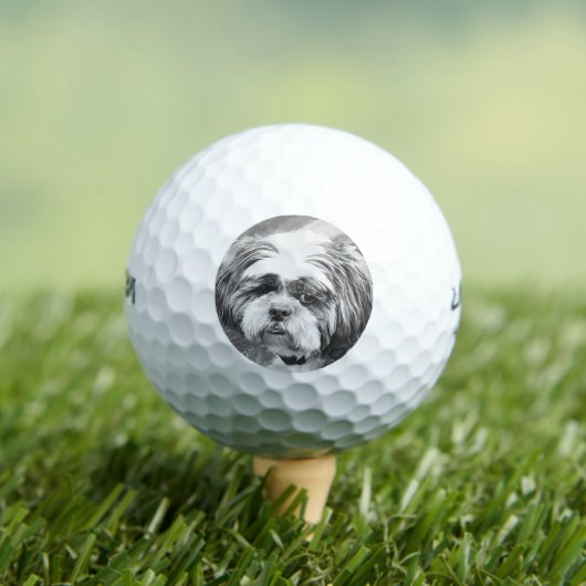 SHIH TZU DOG GOLFBALLEN (Insitu Shirt)