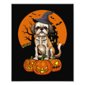 Shih Tzu Dog Halloween Foto Afdruk (Voorkant)