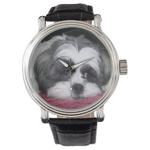 Shih Tzu Dog Horloge