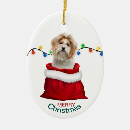 Shih Tzu Dog in Holiday Gift Bag Keramisch Ornament (Voorkant)