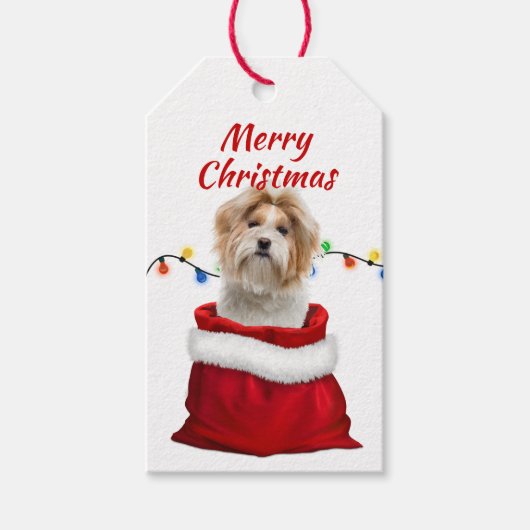 Shih Tzu Dog in Santa Bag Cadeaulabel (Voorkant)