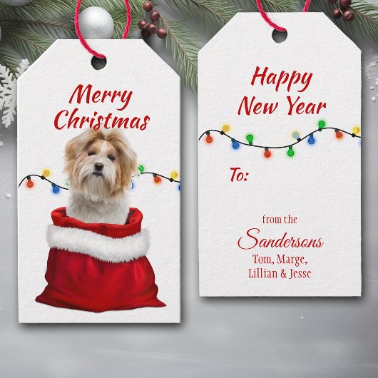 Shih Tzu Dog in Santa Bag Cadeaulabel