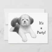 Shih Tzu Dog Invitation Kaart (Voorkant)
