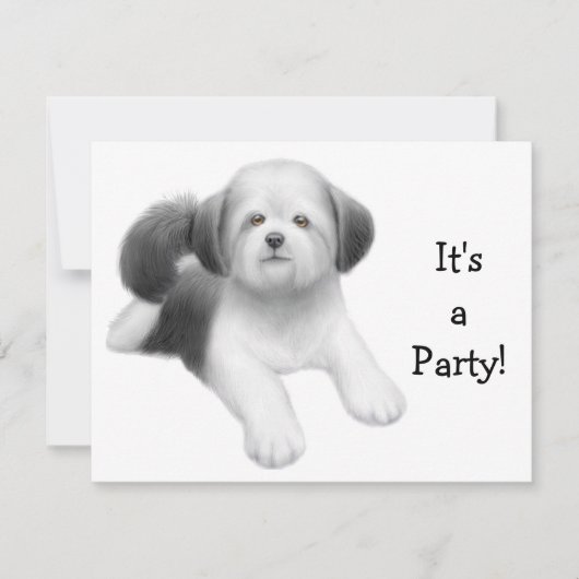 Shih Tzu Dog Invitation Kaart (Voorkant)