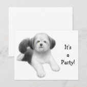 Shih Tzu Dog Invitation Kaart (Voorkant / Achterkant)
