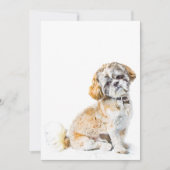 Shih Tzu Dog Invitation Kaart (Voorkant)