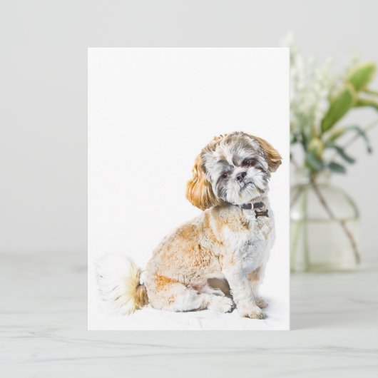 Shih Tzu Dog Invitation Kaart (Staand voorkant)