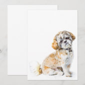 Shih Tzu Dog Invitation Kaart (Voorkant / Achterkant)