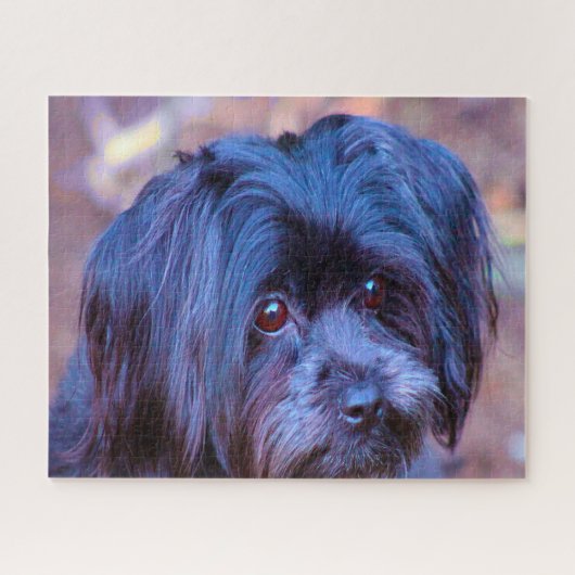 Shih Tzu Dog Jigsaws. Legpuzzel (Horizontaal)