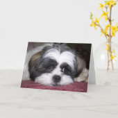 Shih Tzu Dog Kaart (Gele Bloem)