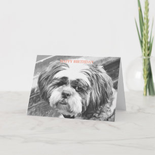 SHIH TZU DOG KAART