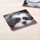 Shih Tzu Dog Kartonnen Onderzetters (Schuin)