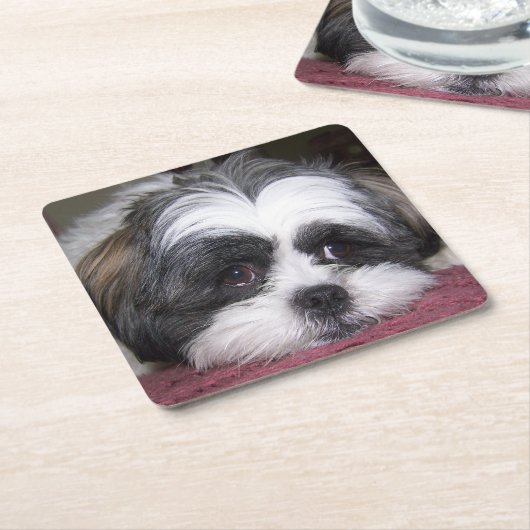 Shih Tzu Dog Kartonnen Onderzetters (Schuin)