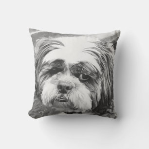 SHIH TZU DOG KUSSEN