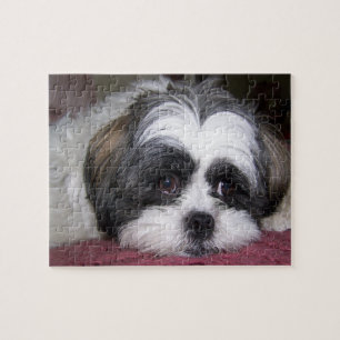 Shih Tzu Dog Legpuzzel