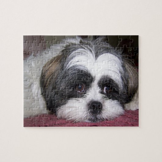Shih Tzu Dog Legpuzzel (Horizontaal)