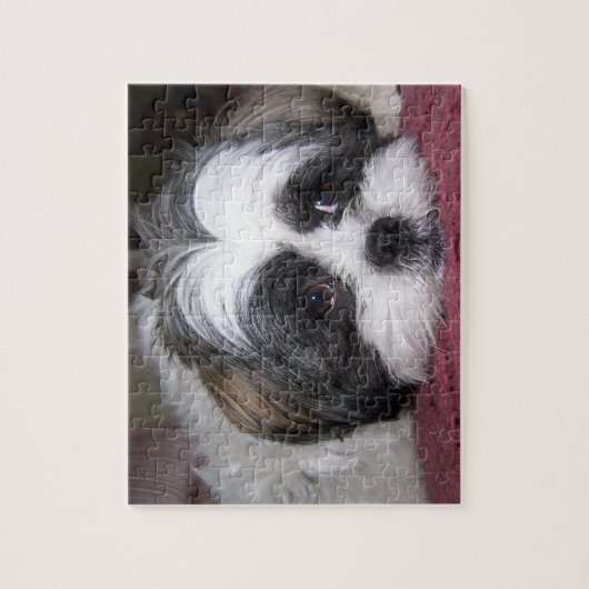Shih Tzu Dog Legpuzzel (Verticaal)