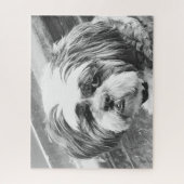 SHIH TZU DOG LEGPUZZEL (Verticaal)