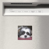 Shih Tzu Dog Magneet (Insitu (Vaatwasser))