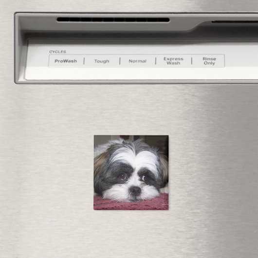 Shih Tzu Dog Magneet (Insitu (Vaatwasser))
