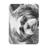 SHIH TZU DOG MAGNEET (Verticaal)