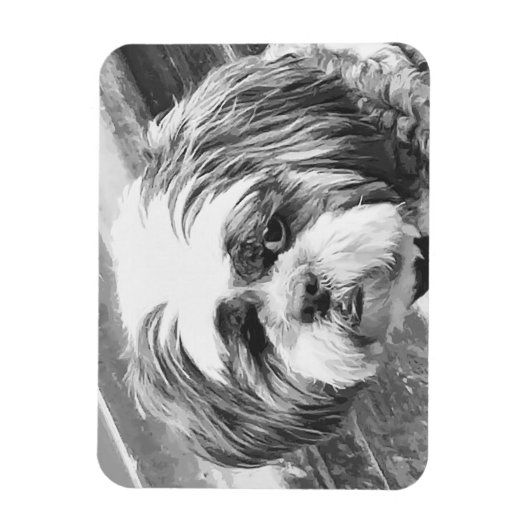 SHIH TZU DOG MAGNEET (Verticaal)