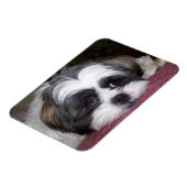Shih Tzu Dog Magneet (Linkerzijde)