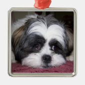 Shih Tzu Dog Metalen Ornament (Voorkant)
