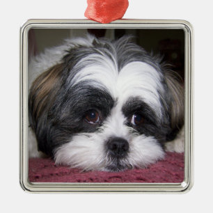 Shih Tzu Dog Metalen Ornament