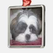 Shih Tzu Dog Metalen Ornament (Links)