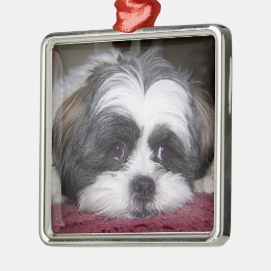 Shih Tzu Dog Metalen Ornament (Links)
