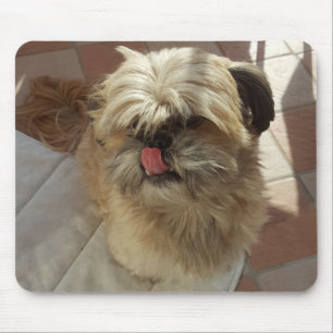 Shih Tzu dog mousepad Muismat