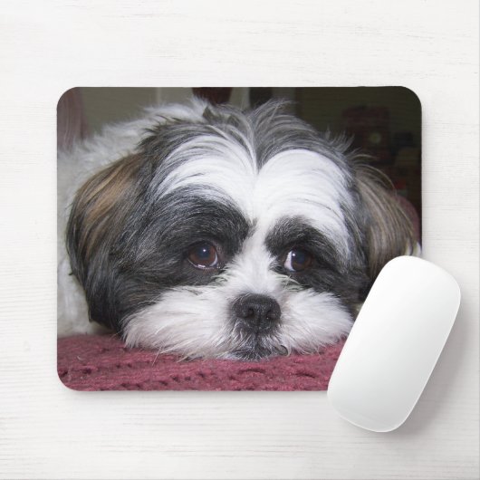 Shih Tzu Dog Muismat (Met muis)