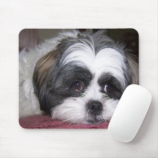 Shih Tzu Dog Muismat (Met muis)