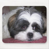 Shih Tzu Dog Muismat (Voorkant)