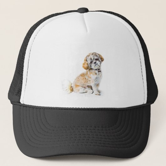 Shih Tzu Dog Pet (Voorkant)