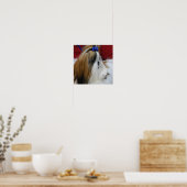Shih Tzu Dog Poster (Keuken)