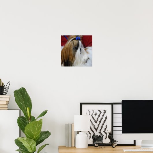 Shih Tzu Dog Poster (Thuiskantoor)